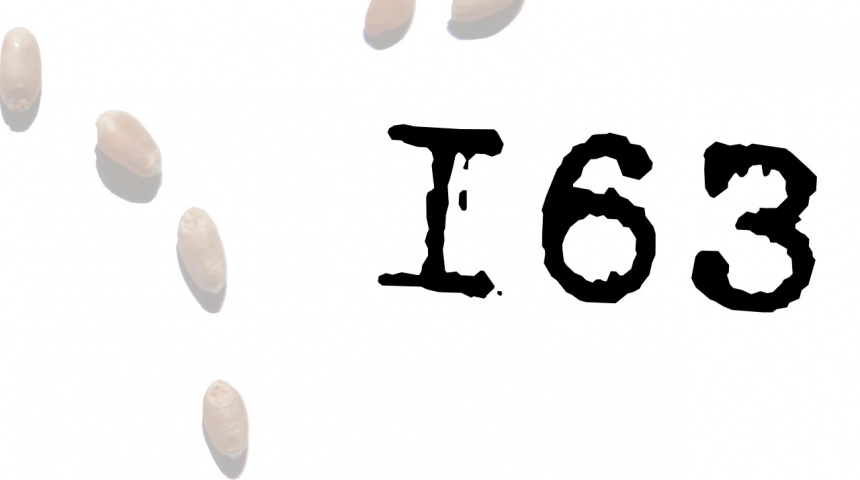 Мистецький проект «163»