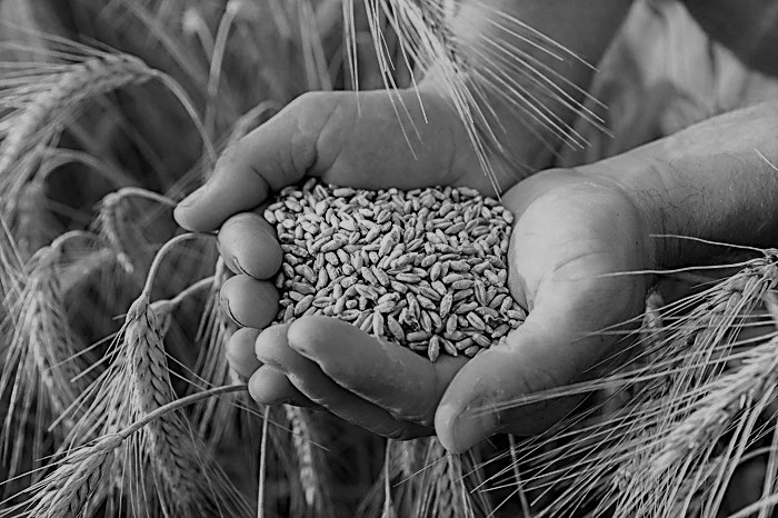 V International Scientific and Practical Conference “Interdisciplinary approaches in the study of the Holodomor-genocide”