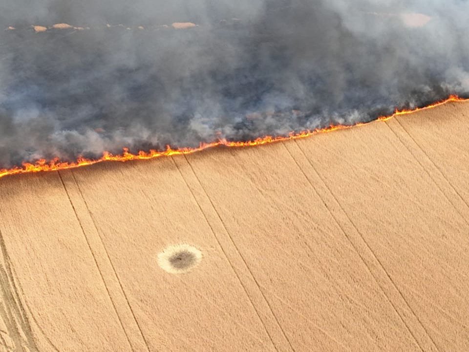 Ukrainian export of grain and Russian intimidation with hunger