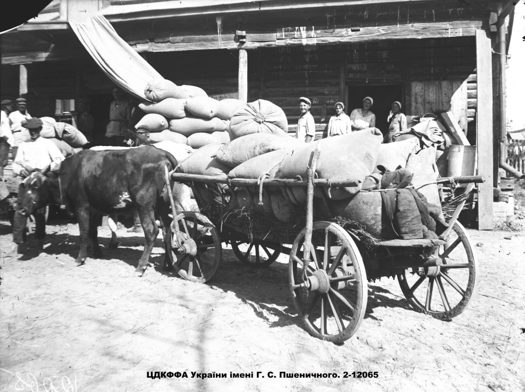 “Complete implementation of the grain procurement plan”: the policy of terror through the famine
