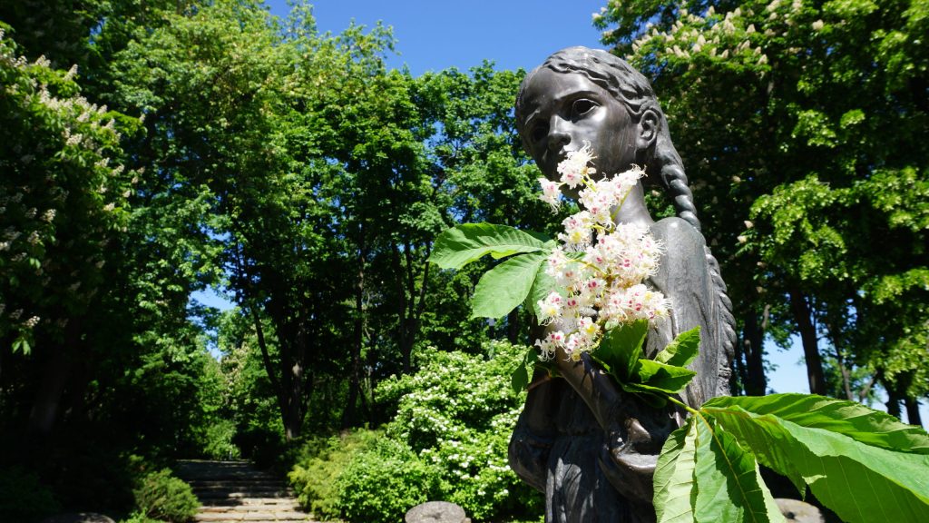 Наші заходи в травні